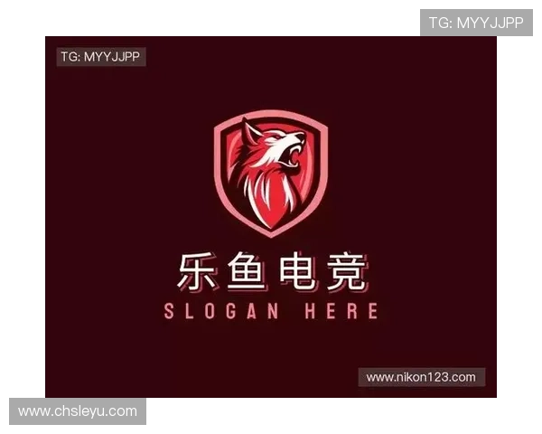 乐鱼电子竞技官网首页帮助新手玩家快速熟悉平台操作与规则介绍