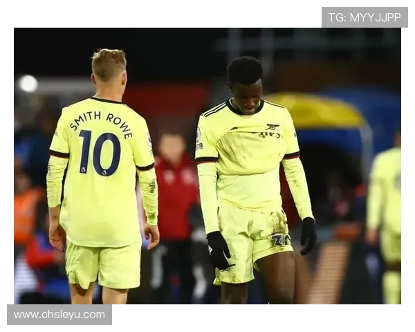 乐鱼官方大巴黎赞助商合作方案详解，如何提升用户观看体验与赛事互动参与度