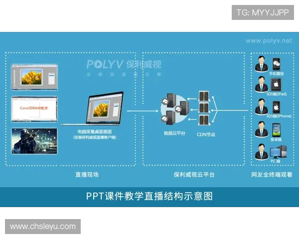 乐鱼登陆入口详细操作流程，帮助新手玩家快速掌握登录步骤实现顺利进入游戏