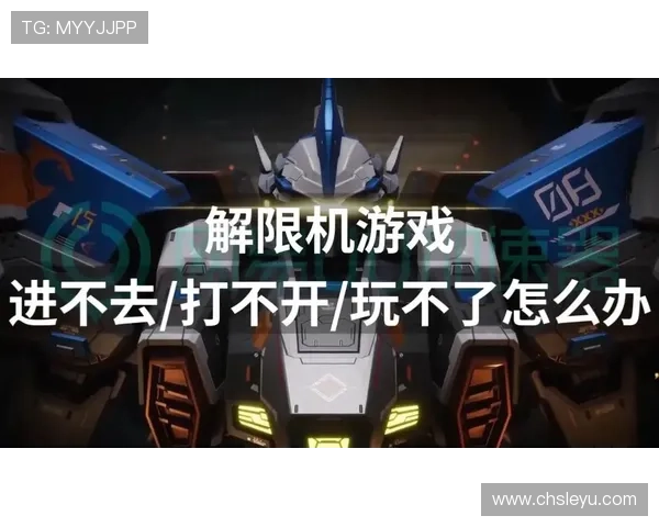 乐鱼官方网站打不开的常见原因及应对措施，确保您的游戏体验不受影响